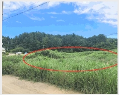  2025Ÿ��10332  �����