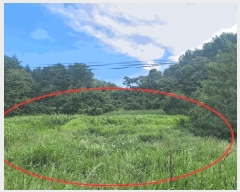  2025Ÿ��10332  �����