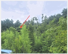  2025Ÿ��10332  �����