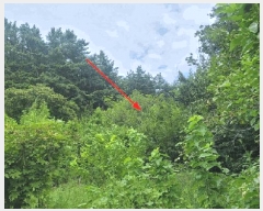  2025Ÿ��10332  �����