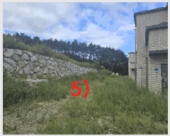  2025Ÿ��10352 ���� ���ʽ� ��絿 307       ���ð��