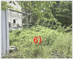  2025Ÿ��10352 ���� ���ʽ� ��絿 307       ���ð��