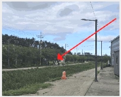  2025Ÿ��10352 ���� ���ʽ� ��絿 307       ���ð��