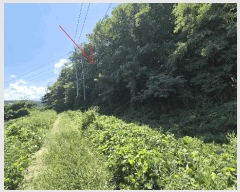  2025Ÿ��10354  �Ӿ߰��