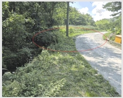  2025Ÿ��10354  �Ӿ߰��