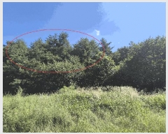  2025Ÿ��10354  �Ӿ߰��