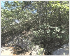  2025Ÿ��10354  �Ӿ߰��