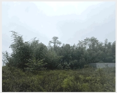  2025Ÿ��10356 ���� ������ ������ �� 379-5      ����(��1)���
