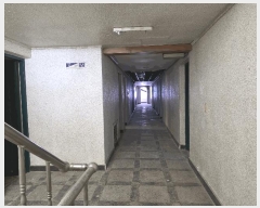  2025Ÿ��10363 ���� ���ʽ� ���ǵ� 51       ���ڽü�,����,ȣ��,�������