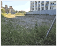  2025Ÿ��10371  ���������