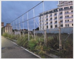  2025Ÿ��10371  ���������