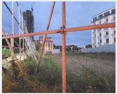  2025Ÿ��10371  ���������