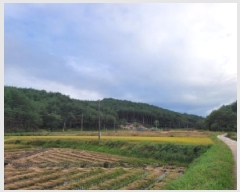  2025Ÿ��10376 ���� ��籺 ������ �ߺҸ� 29      ����(��1)���