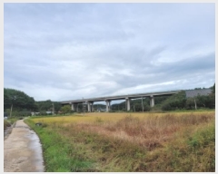  2025Ÿ��10376 ���� ��籺 ������ �ߺҸ� 29      ����(��1)���