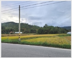  2025Ÿ��10376 ���� ��籺 ������ �ߺҸ� 29      ����(��1)���