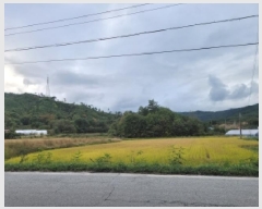  2025Ÿ��10376 ���� ��籺 ������ �ߺҸ� 29      ����(��1)���