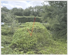  2025Ÿ��10386 ���� ������ �伺�� �ƾ����� 73-22      ����(����)���