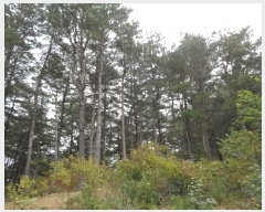  2025Ÿ��10392 ���� ��籺 ������ �Ծϸ� ��186      ����(�Ӿ�)���