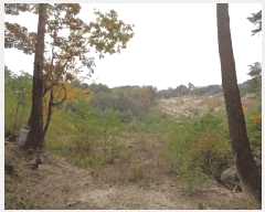  2025Ÿ��10392 ���� ��籺 ������ �Ծϸ� ��186      ����(�Ӿ�)���