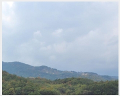  2025Ÿ��10392 ���� ��籺 ������ �Ծϸ� ��186      ����(�Ӿ�)���