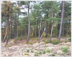  2025Ÿ��10392 ���� ��籺 ������ �Ծϸ� ��186      ����(�Ӿ�)���