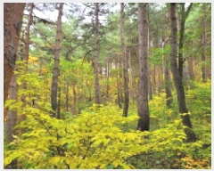  2025Ÿ��10392 ���� ��籺 ������ �Ծϸ� ��186      ����(�Ӿ�)���