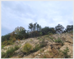  2025Ÿ��10392 ���� ��籺 ������ �Ծϸ� ��186      ����(�Ӿ�)���