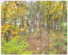  2025Ÿ��10392 ���� ��籺 ������ �Ծϸ� ��186      ����(�Ӿ�)���