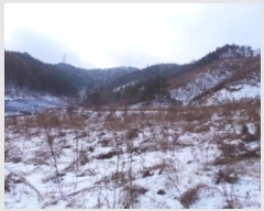  2025Ÿ��11 ���� ��â�� ���θ� �Ź��� 828-1      ����(��1)���