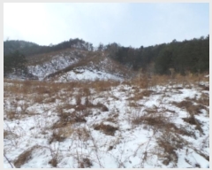  2025Ÿ��11 ���� ��â�� ���θ� �Ź��� 828-1      ����(��1)���