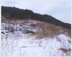  2025Ÿ��11 ���� ��â�� ���θ� �Ź��� 828-1      ����(��1)���