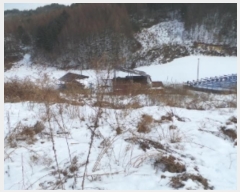  2025Ÿ��11 ���� ��â�� ���θ� �Ź��� 828-1      ����(��1)���