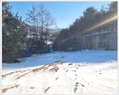  2025Ÿ��42 ���� ��â�� ����ɸ� Ⱦ�踮 344-51      ����(��1)���