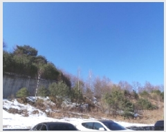  2025Ÿ��42 ���� ��â�� ����ɸ� Ⱦ�踮 344-51      ����(��1)���