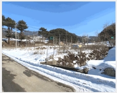  2025Ÿ��97 ���� ��â�� ����� ��긮 1429-6      ����(��1)���