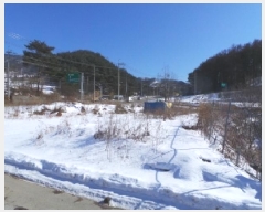  2025Ÿ��97 ���� ��â�� ����� ��긮 1429-6      ����(��1)���