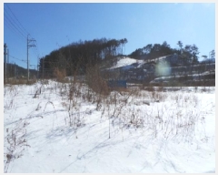  2025Ÿ��97 ���� ��â�� ����� ��긮 1429-6      ����(��1)���