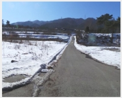  2025Ÿ��97 ���� ��â�� ����� ��긮 1429-6      ����(��1)���