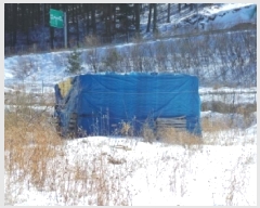  2025Ÿ��97 ���� ��â�� ����� ��긮 1429-6      ����(��1)���