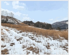  2025Ÿ��288 ���� ��â�� ���θ� ���� 44-7      ����(��1)���