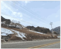  2025Ÿ��288 ���� ��â�� ���θ� ���� 44-7      ����(��1)���