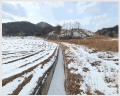  2025Ÿ��288 ���� ��â�� ���θ� ���� 44-7      ����(��1)���