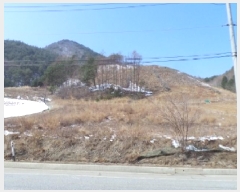  2025Ÿ��288 ���� ��â�� ���θ� ���� 44-7      ����(��1)���