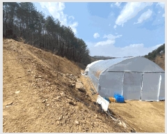  2025Ÿ��363 ���� ��â�� ����� ������ 66      ����(��1)���