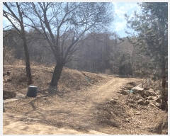  2025Ÿ��363 ���� ��â�� ����� ������ 66      ����(��1)���