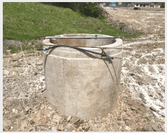  2025Ÿ��493  �����