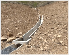  2025Ÿ��493  �����