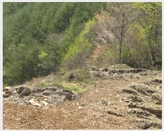  2025Ÿ��493  �����