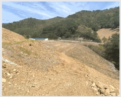  2025Ÿ��493  �����