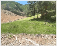  2025Ÿ��493  �����